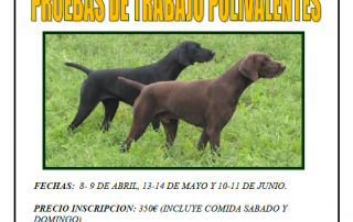 Federación de Caza de Castilla y León