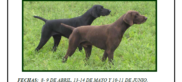 Federación de Caza de Castilla y León