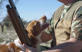 Federación de Caza de Castilla y León