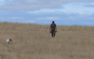 Federación de Caza de Castilla y León