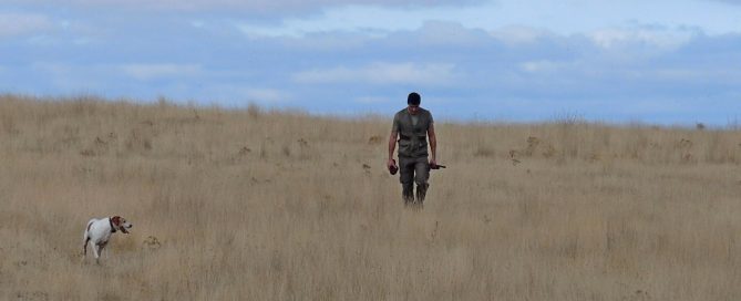 Federación de Caza de Castilla y León