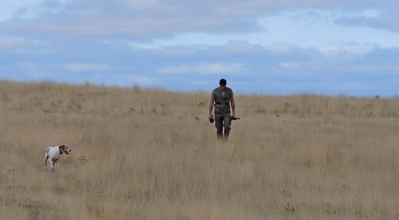 Federación de Caza de Castilla y León