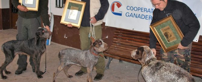 Federación de Caza de Castilla y León