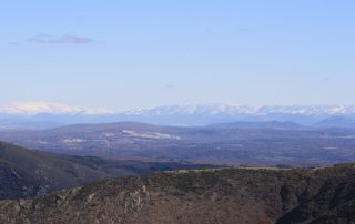 Federación de Caza de Castilla y León