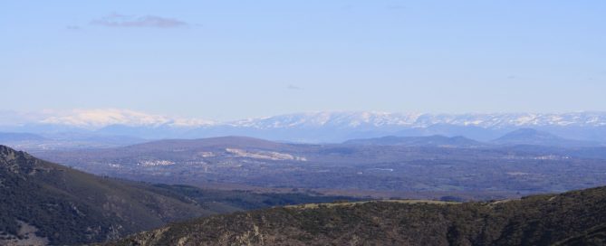 Federación de Caza de Castilla y León