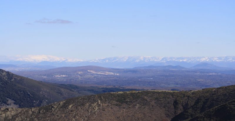 Federación de Caza de Castilla y León