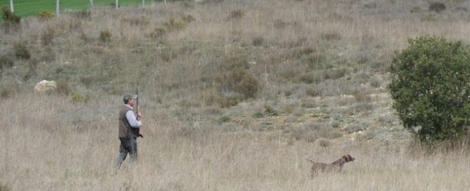 Federación de Caza de Castilla y León