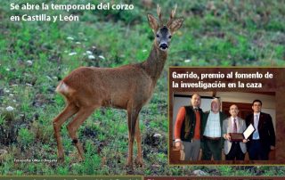 Federación de Caza de Castilla y León