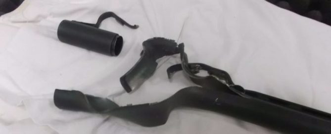 Federación de Caza de Castilla y León