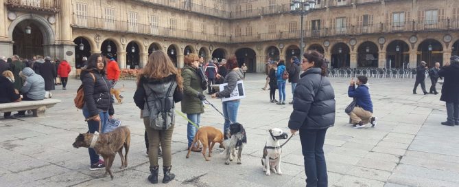 Federación de Caza de Castilla y León