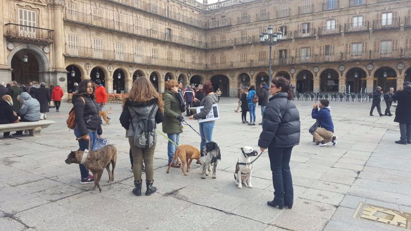 Federación de Caza de Castilla y León