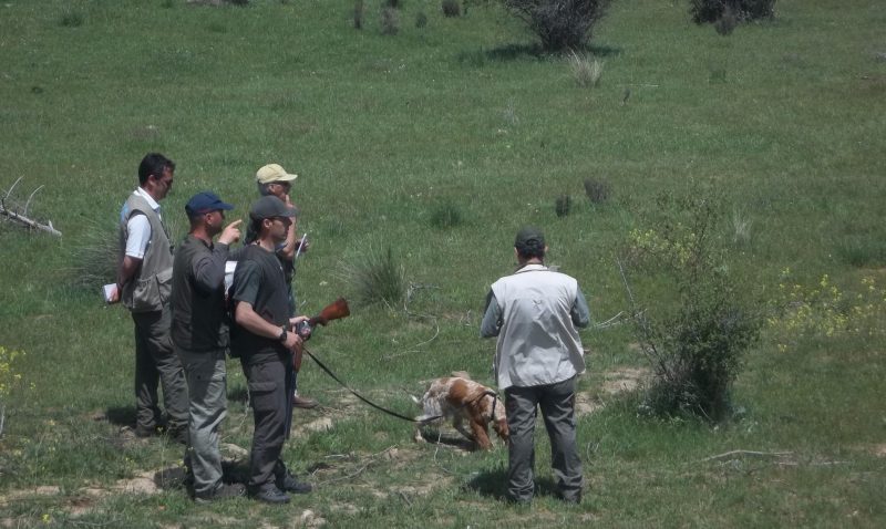 Federación de Caza de Castilla y León