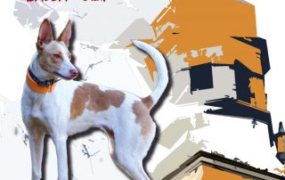 Federación de Caza de Castilla y León