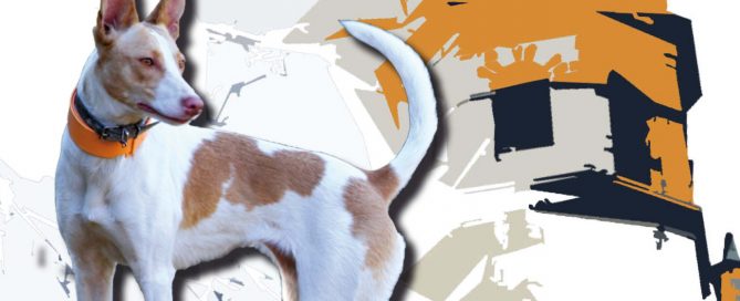 Federación de Caza de Castilla y León