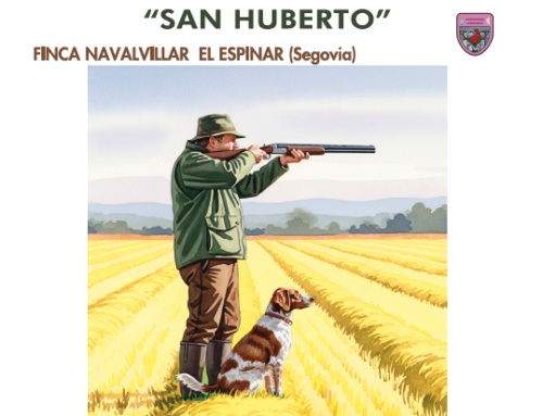 XI Copa y XXXVIII Campeonato de Castilla y León  de Caza San Huberto Categorías Hombres, Mujeres y Springers (Levantadores)