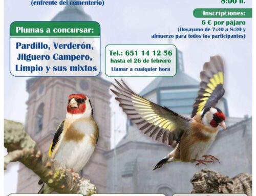 III Concurso silvestrita abierto ciudad de Peñaranda