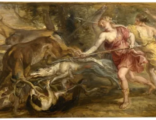 La caza y la cultura