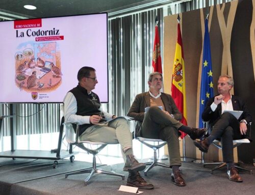 Recelo en cuanto a la caza de la codorniz en el I Foro celebrado en Valladolid