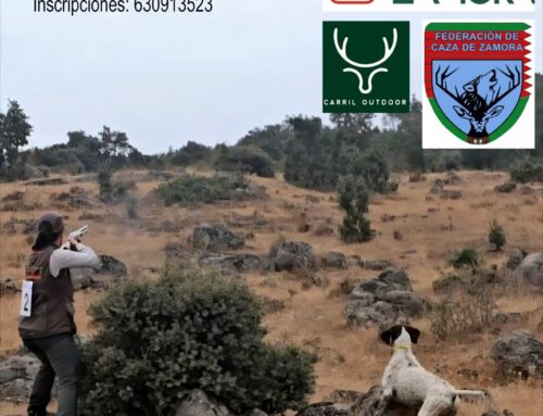 Gran Premio Diputación de Zamora de San Huberto, II Memorial Castor Novoa