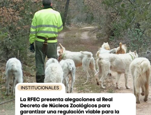 La RFEC presenta alegaciones al Real Decreto de Núcleos Zoológicos para garantizar una regulación viable para la caza