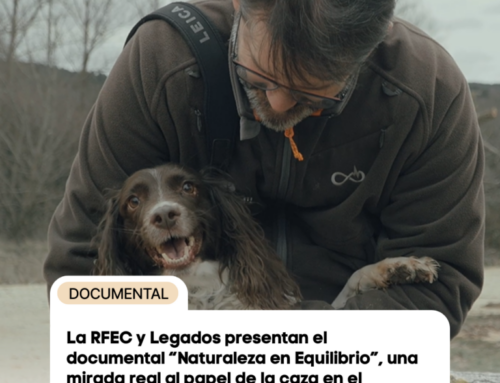 La RFEC y Legados presentan el documental “Naturaleza en Equilibrio”, una mirada real al papel de la caza en el territorio