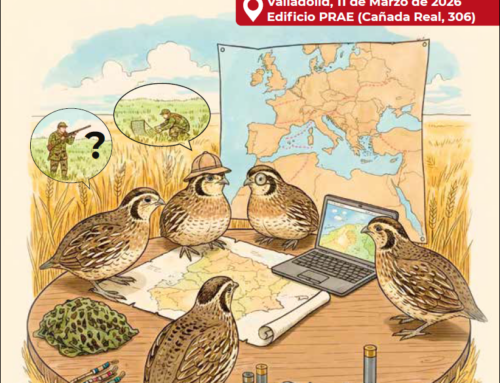 La Federación de Caza de Castilla y León organiza el Foro Nacional de la Codorniz, el próximo 11 de marzo, en Valladolid.