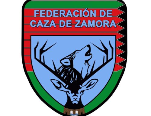 Increíble participación en el campeonato provincial de RRCC de Zamora