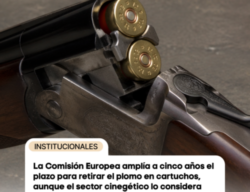 La Comisión Europea amplía a cinco años el plazo para retirar el plomo en cartuchos, aunque el sector cinegético lo considera insuficiente