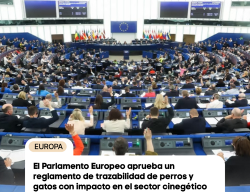 El Parlamento Europeo aprueba un reglamento de trazabilidad de perros y gatos con impacto en el sector cinegético