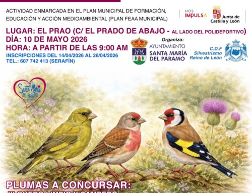 II Campeonato Libre de Silvestrismo, Reino de León