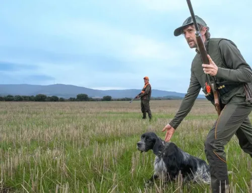 Preocupación en el medio rural leonés por el incremento en los robos de perros utilizados para la caza
