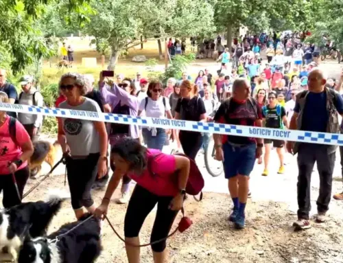 Animalistas promueven una caminata ilegal de 200 personas en una zona infectada por peste porcina y ponen en riesgo la vida de miles de animales