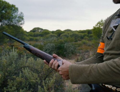 MUTUASPORT RECHAZA LA PROHIBICIÓN DE LA MUNICIÓN DE PLOMO POR CARECER DE GARANTÍAS CIENTÍFICAS Y PONER EN RIESGO LA SEGURIDAD DE LAS PERSONAS