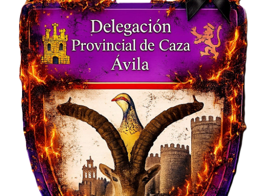 INCENDIOS DE ÁVILA, grupo de ayuda y donaciones para las zonas afectadas por los incendios 2026