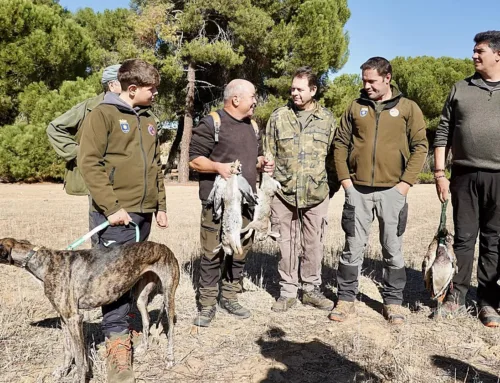 Pino trabajará para recuperar la liebre ante una temporada de caza menor poco «halagüeña» por las enfermedades y los furtivos