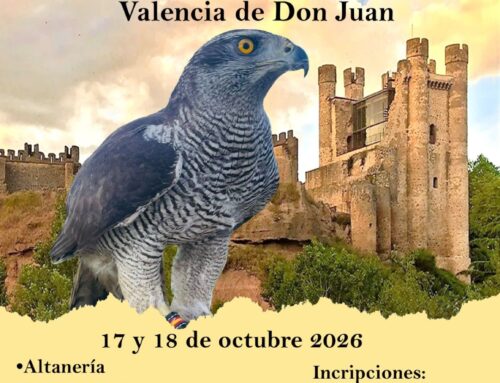 CAMPEONATOS DE CETRERÍA DE CASTILLA Y LEÓN