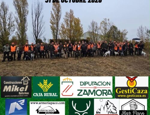 CAMPEONATO PROVINCIAL DE CAZA MENOR CON PERRO, ZAMORA 2026