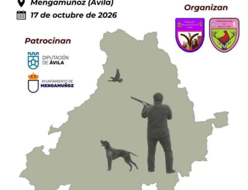 VI COPA ÁVILA DE SAN HUBERTO
