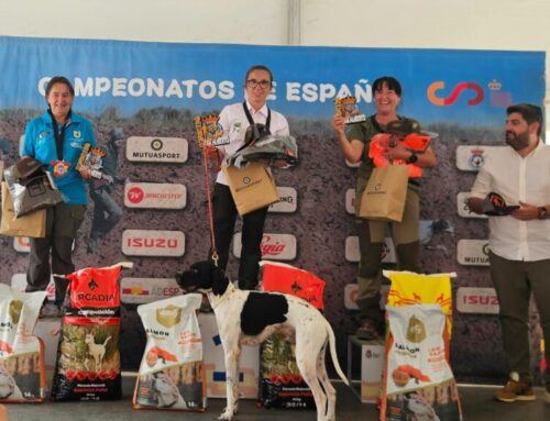 Mónica Ojeda Martínez, Burgos, junto a Noi tercer puesto en el Campeonato de España de San Huberto